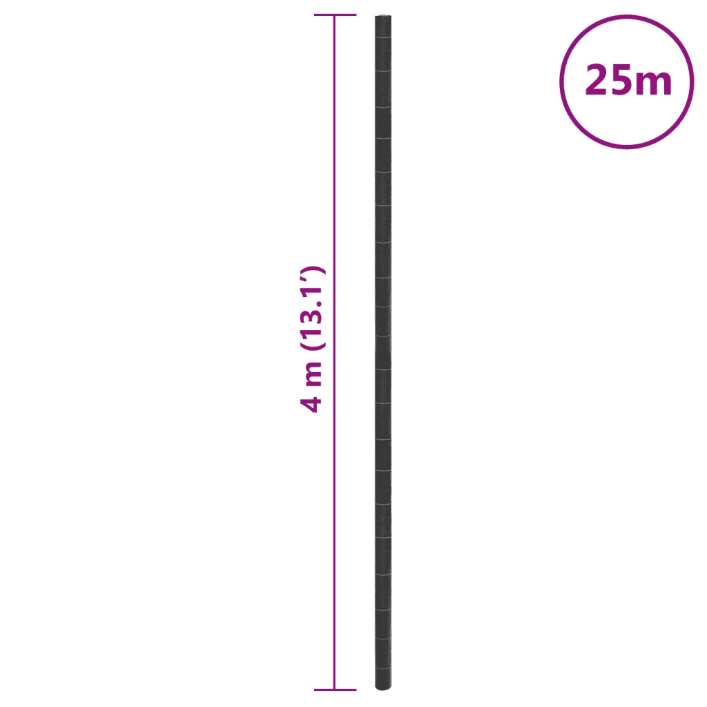 Membrana Antierbacce Nera 4x25 m in PP CFW2791084