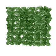 Arella sempreverde 300xh100 "Lauro Light"