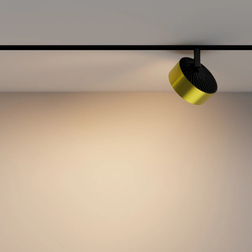 Maytoni Lampada da binario moderna Exility Rado 1 luce LED integrato nero alluminio diffusore opaco