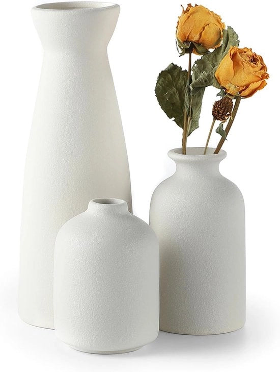 Set di Vasi Ceramici Bianchi da 3 Piccoli Vasi per Fiori per Decorazione, Decorazione Rustica Moderna per la Casetta di Campagna, Idee per Decorazione con Pampas (Bianco)