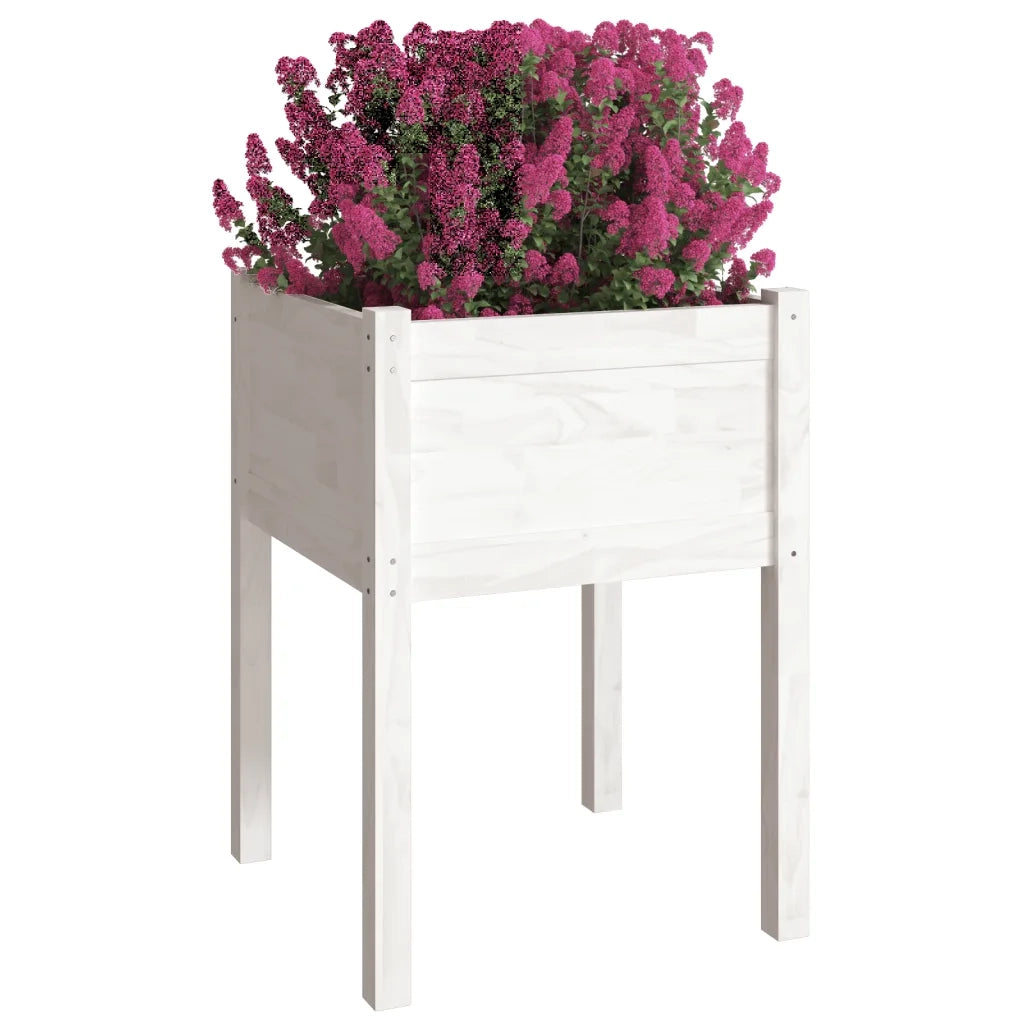 Fioriere da Giardino 2 pz Bianche 50x50x70 cm Massello di Pino 810802