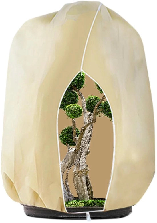 Copertura invernale per piante, 250 x 360 cm, copertura per piante invernale all'aperto per piante in vaso, olivi, palme con chiusura a righello, resistente alle scalfitture, riutilizzabile, colore beige