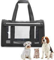Casella di trasporto per piccoli animali domestici, gatti, cani, conigli, 46 x 30 x 30 cm