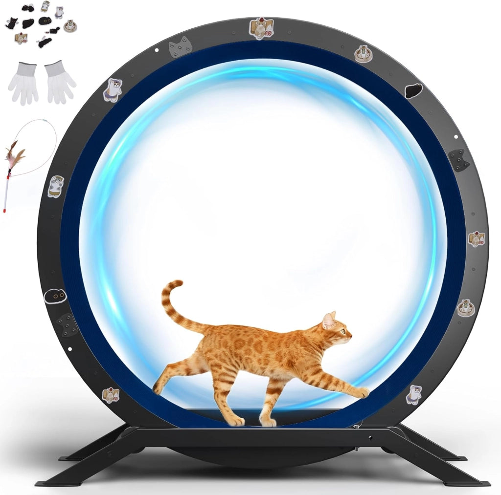 Ruota per gatti, ruota per esercizi per gatti, XL- 100 cm, ultra silenziosa con tappetino rimovibile, adesivi, sistema di bloccaggio, metallo, blu, regali per il vostro gatto
