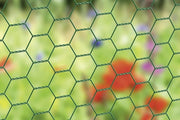 Clip per piante di pomodoro, rosa, cetriolo e altre piante rampicanti, Rete per piante rampicanti 13 x 13 mm | altezza 50 cm | lunghezza 25 m