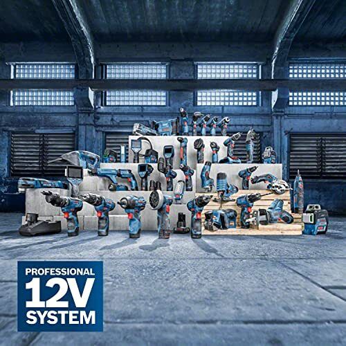 Bosch GEX 12V-125 Professional Levigatrice a disco 10000 Giri/min 20000 OPM Nero, Blu, Rosso