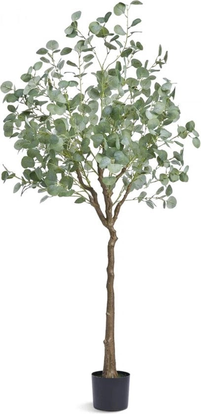 Pianta artificiale di eucalipto - 80x80x181cm pianta in PE - pianta in plastica in vaso fiori artificiali