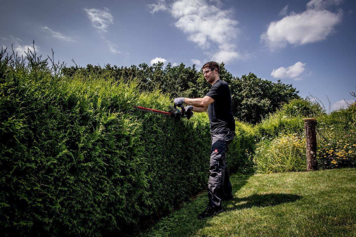 Metabo HS 18 LTX 55 Doppia lama 2,6 kg