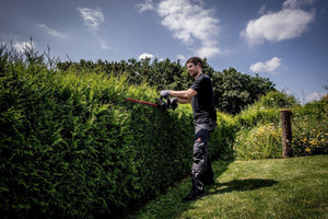 Metabo HS 18 LTX 55 Doppia lama 2,6 kg