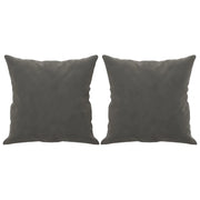 Cuscini Decorativi 2 pz Grigio Scuro 40x40 cm in Velluto CFW6411818