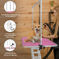 Tavolo da toelettatura idraulico per cani ad altezza regolabile professionale grande Rosa