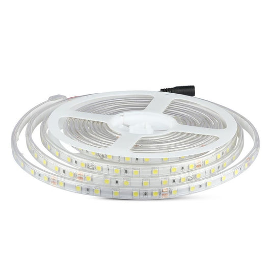 Striscia LED 5050 60 LED 24V IP65 6000K