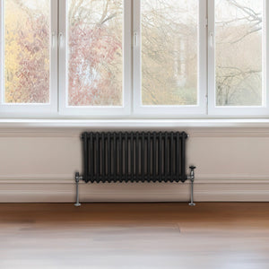 Termosifone Radiatore a 2 colonne per riscaldamento centralizzato orizzontale Nero 30x83cm