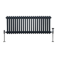 Termosifone Radiatore a 2 colonne per riscaldamento centralizzato orizzontale Grigio Antracite 300 x 1012mm