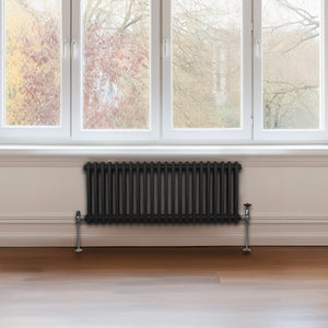 Termosifone Radiatore a 2 colonne per riscaldamento centralizzato orizzontale Nero 300 x 1012mm