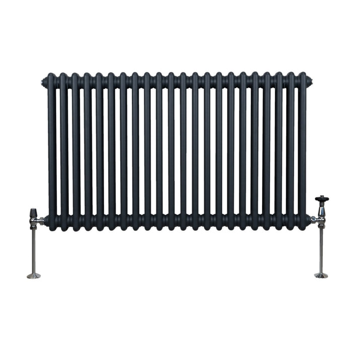 Termosifone Radiatore a 2 colonne per riscaldamento centralizzato Grigio Antracite 600 x 1012mm