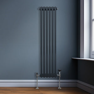 Termosifone Radiatore a 2 colonne per riscaldamento centralizzato verticale Grigio Antracite 150x29cm