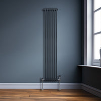Termosifone Radiatore a 2 colonne per riscaldamento centralizzato verticale Grigio Antracite 180x29cm