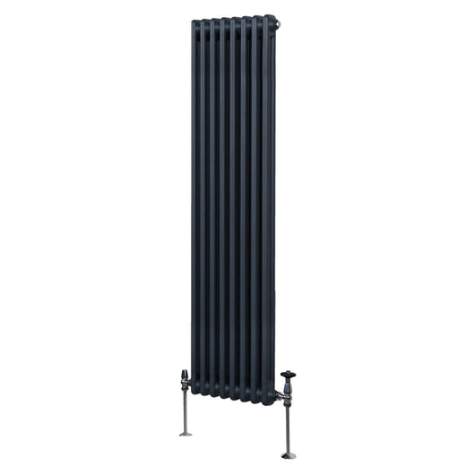 Termosifone Radiatore a 2 colonne per riscaldamento centralizzato verticale Grigio Antracite 180x38cm