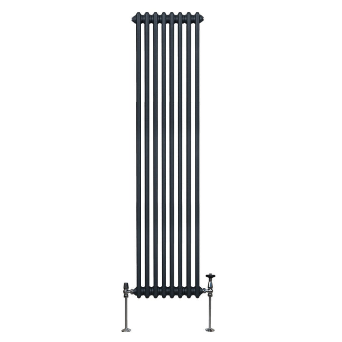 Termosifone Radiatore a 2 colonne per riscaldamento centralizzato verticale Grigio Antracite 180x38cm