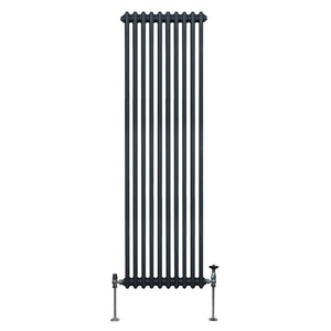 Termosifone Radiatore a 2 colonne per riscaldamento centralizzato verticale Grigio Antracite 180x47cm