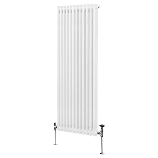 Termosifone Radiatore a 2 colonne per riscaldamento centralizzato verticale Bianco 180x56cm