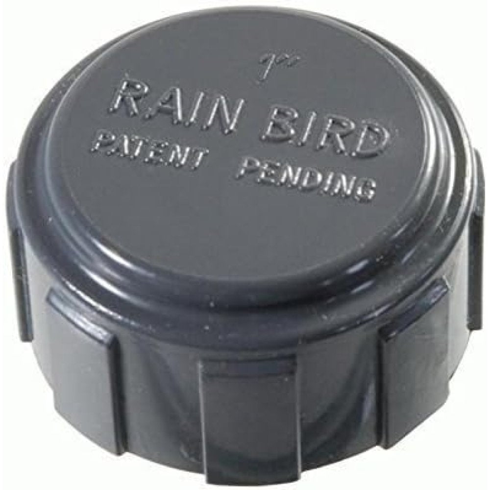 Raccordo pvc distributore rain bird cappello 1 filettatura inter