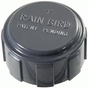 Raccordo pvc distributore rain bird cappello 1 filettatura inter