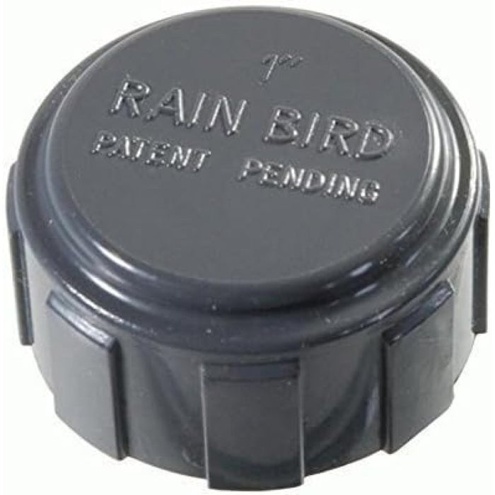 Raccordo pvc distributore rain bird cappello 1 filettatura inter