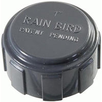 Raccordo pvc distributore rain bird cappello 1 filettatura inter