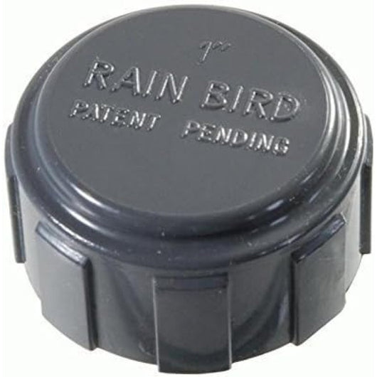 Raccordo pvc distributore rain bird cappello 1 filettatura inter