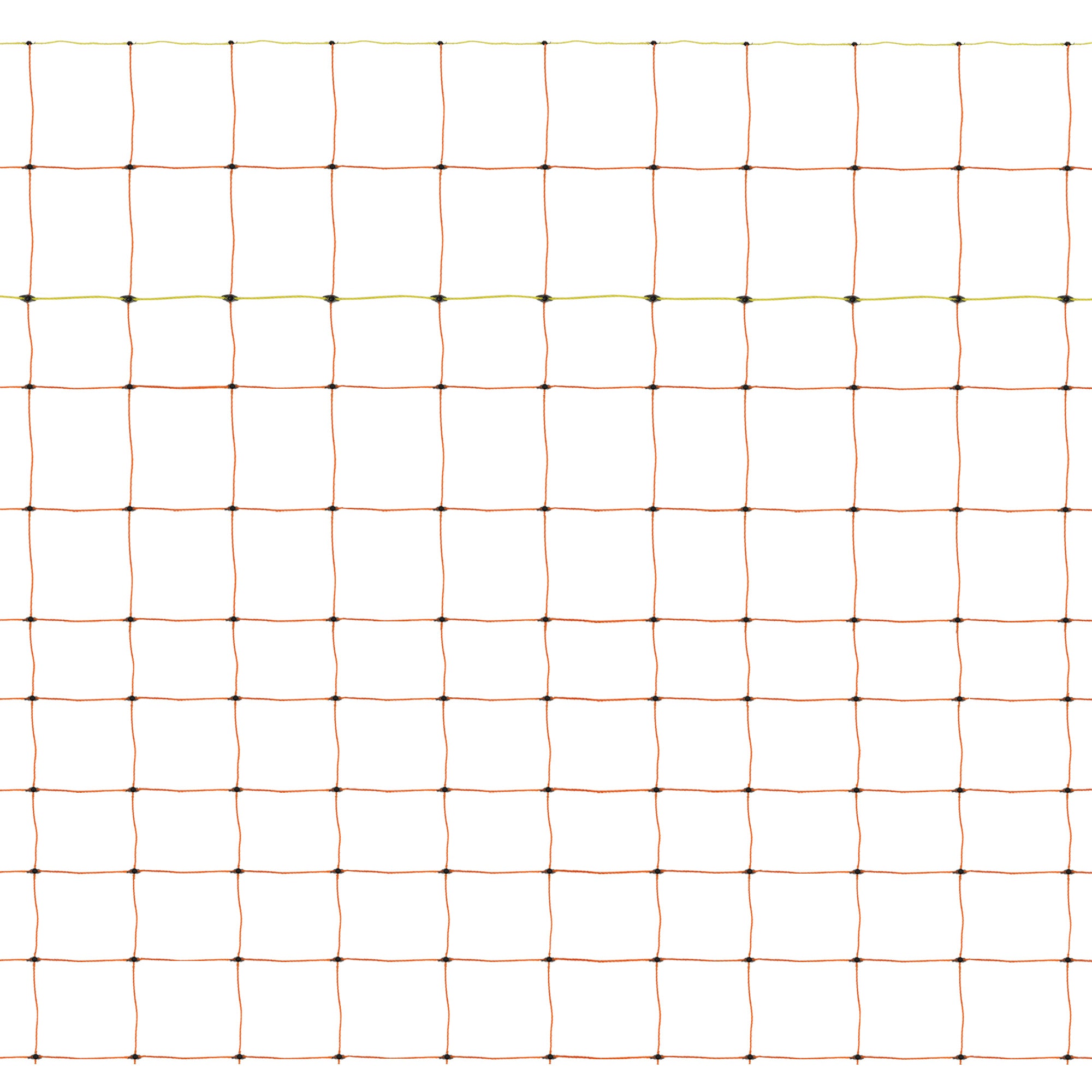 Rete Adatta per Recinti Elettrici per Pollame 50m con Pali e Maglia Alta 120cm
