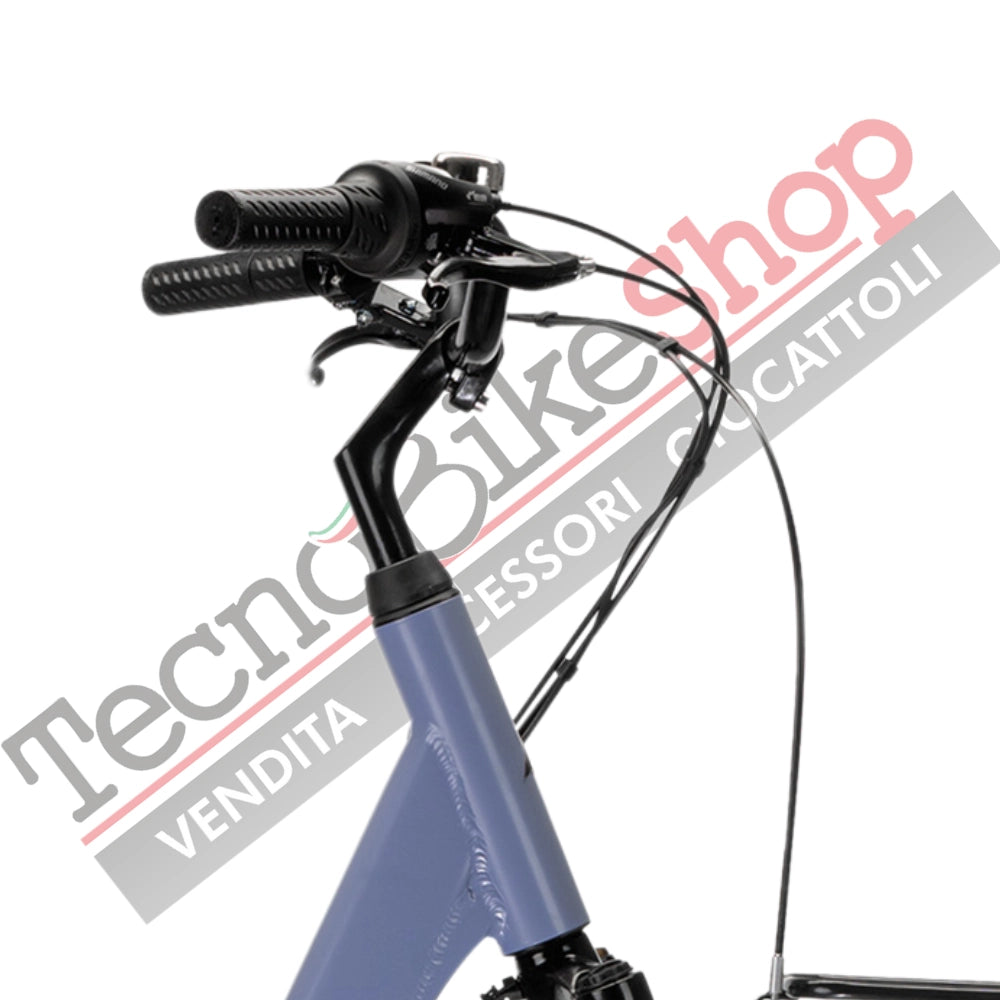 Bicicletta Elettrica A Pedalata Assistita MBM Rhea 26"-Blu