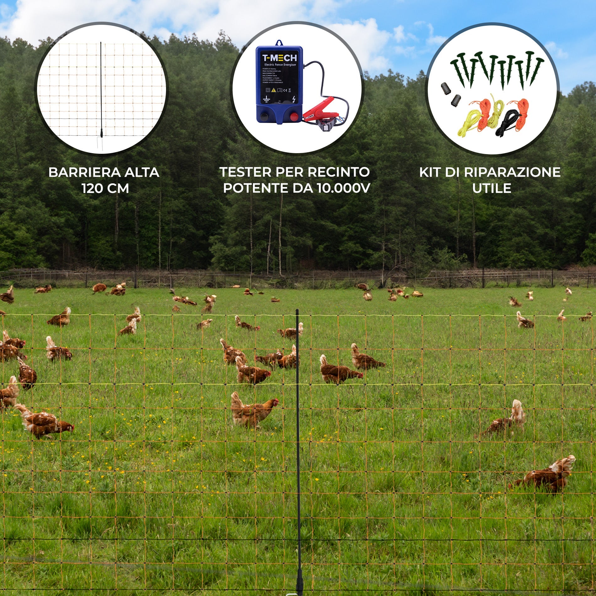 Energizzatore Recinzione & Rete per Pollame 50m - Maglia Alta 120cm con Pali