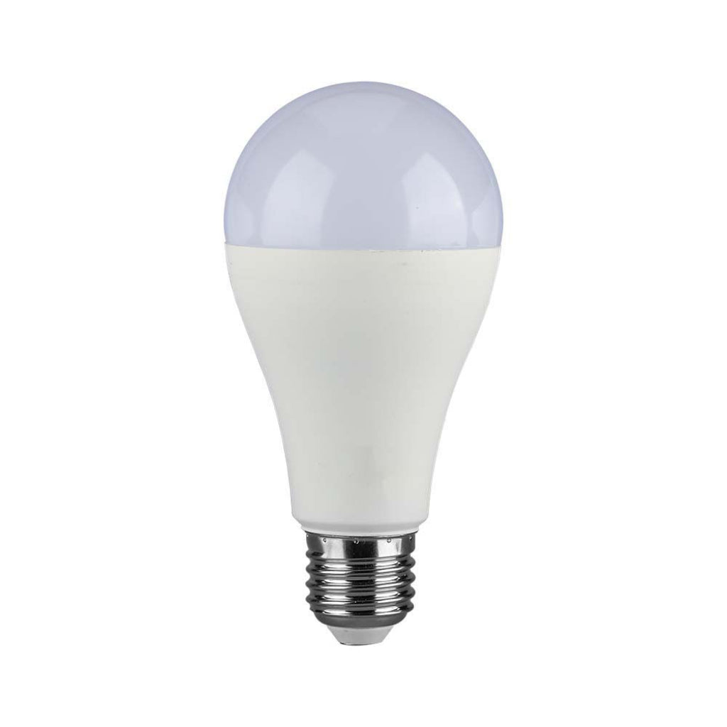 Lampadina LED E27 17W A65 6400K