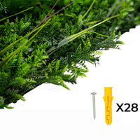 Piastrelle da Parete con Piante Artificiali 1m x 1m (2pz) Pannello Erba Alina per Giardino e Arredo Casa