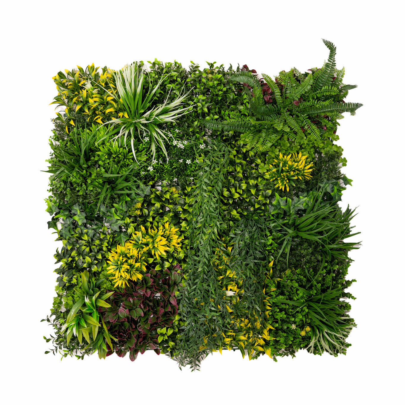 Piastrelle da Parete con Piante Artificiali 1m x 1m (3Pz) Pannello Erba Cassia per Giardino e Arredo Casa