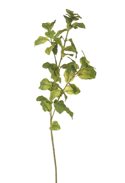 Set 4 Rami Artificiali di Menta Altezza 62 cm Verde