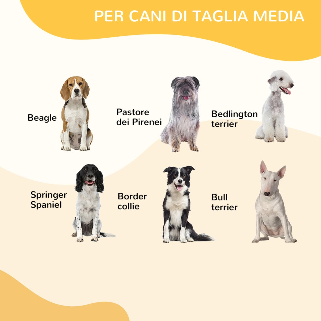 EasyComfort Recinto per Cani di Piccola Taglia a 8 Pannelli Modulabili da 80x1.5x100 cm, Box per Cani e Cuccioli Pieghevole con Porta in Acciaio con 8 Picchetti, Grigio