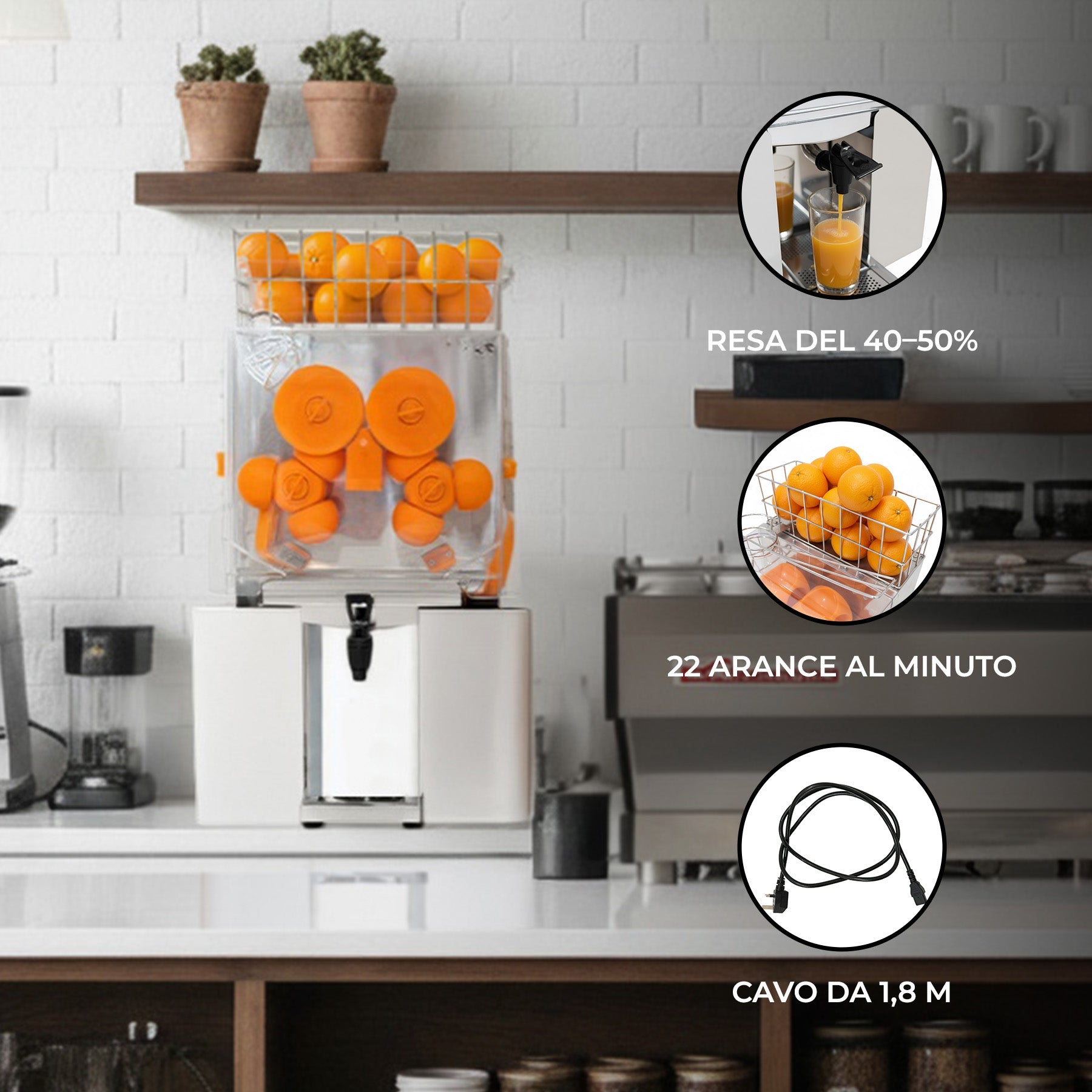 Spremiagrumi Professionale Automatico Arance Elettrico Acciaio con Rubinetto