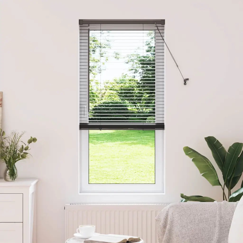 Tendaggi a Veneziana | Tenda a lamelle Nero 175 x 60 cm Alluminio