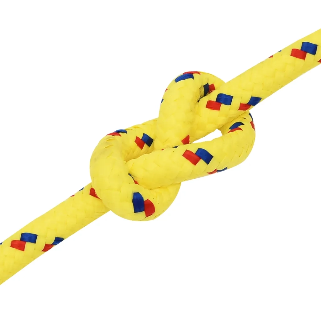 Corda per barca Gialla 12 mm 25 m in Polipropilene 152617