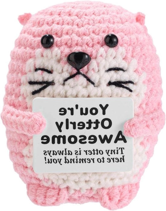 Cuscino di Supporto con Carta di Consolazione - Manufatto Artigianale e Sostenitore Emotivo - Giocattolo Decorativo per Ambiente di Casa o Ufficio