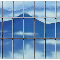 RETE ELETTROZINCATA H125CM 25M MAGLIA 50X75MM