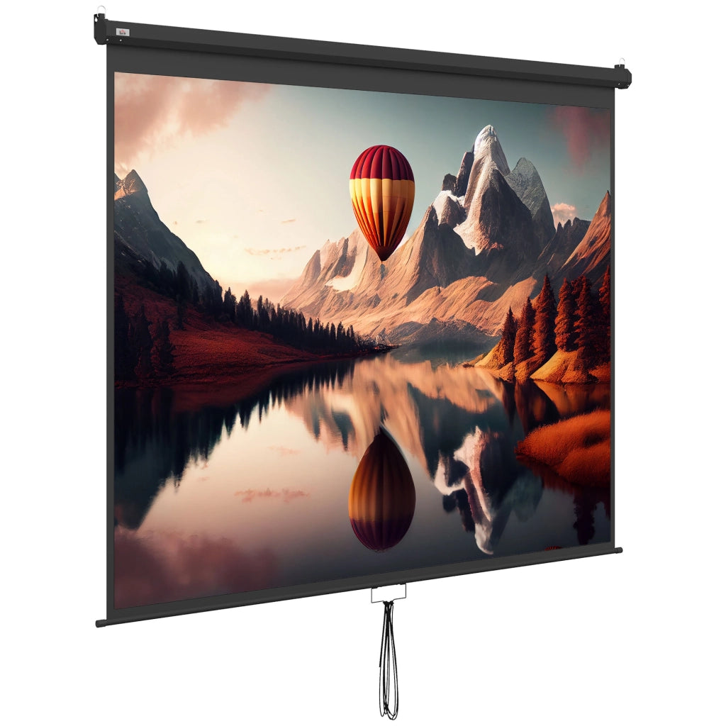 Telo Proiettore 120" Regolabile con Montaggio a Soffitto e Parete, Formato 4:3, 244x183cm, Bianco e Nero