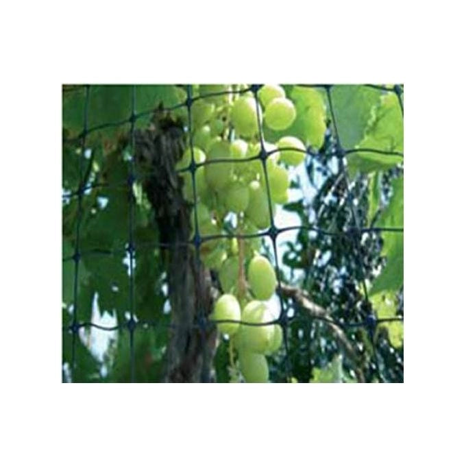 Reti Difengreen Ortofrutta Per Uccelli