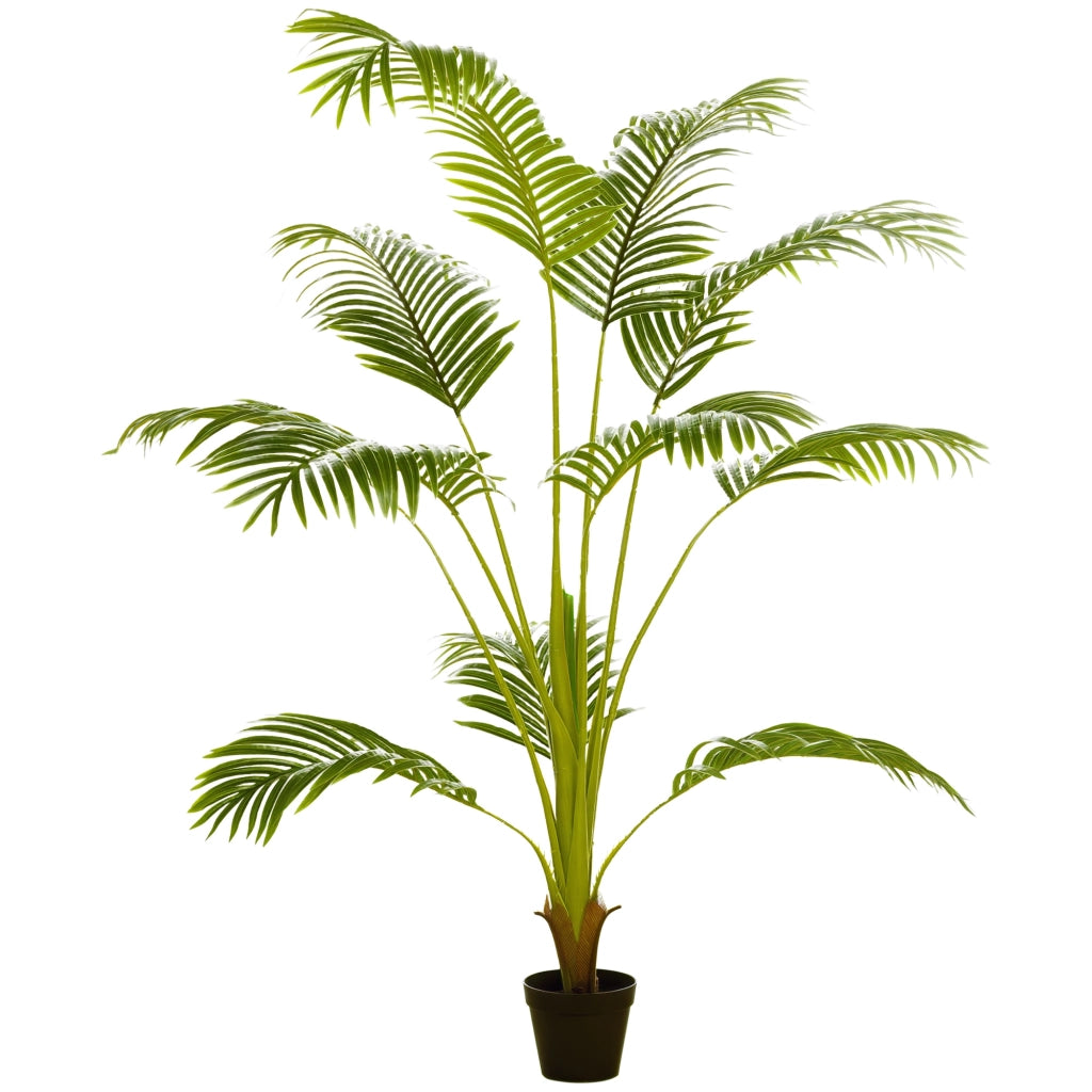 Palma Areca Artificiale ¨C Xylo ¨C 170 cm 11 Foglie Verde per Interno