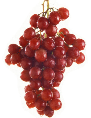 Pianta di UVA VITE innestata FLAME SEEDLESS Rossa APIRENA senza semi in vaso 16