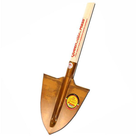 Mass Vanga Punta Queen M Ta