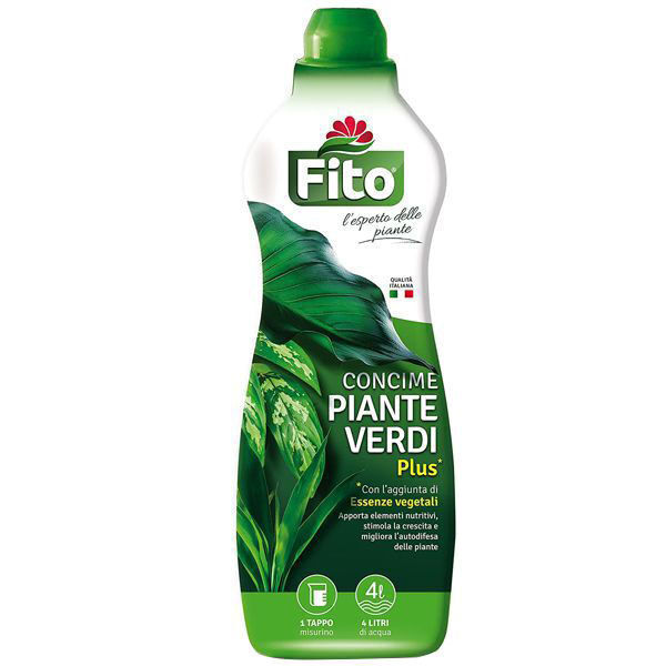 Fito Concime Liquido Piante Verdi 1 Litro